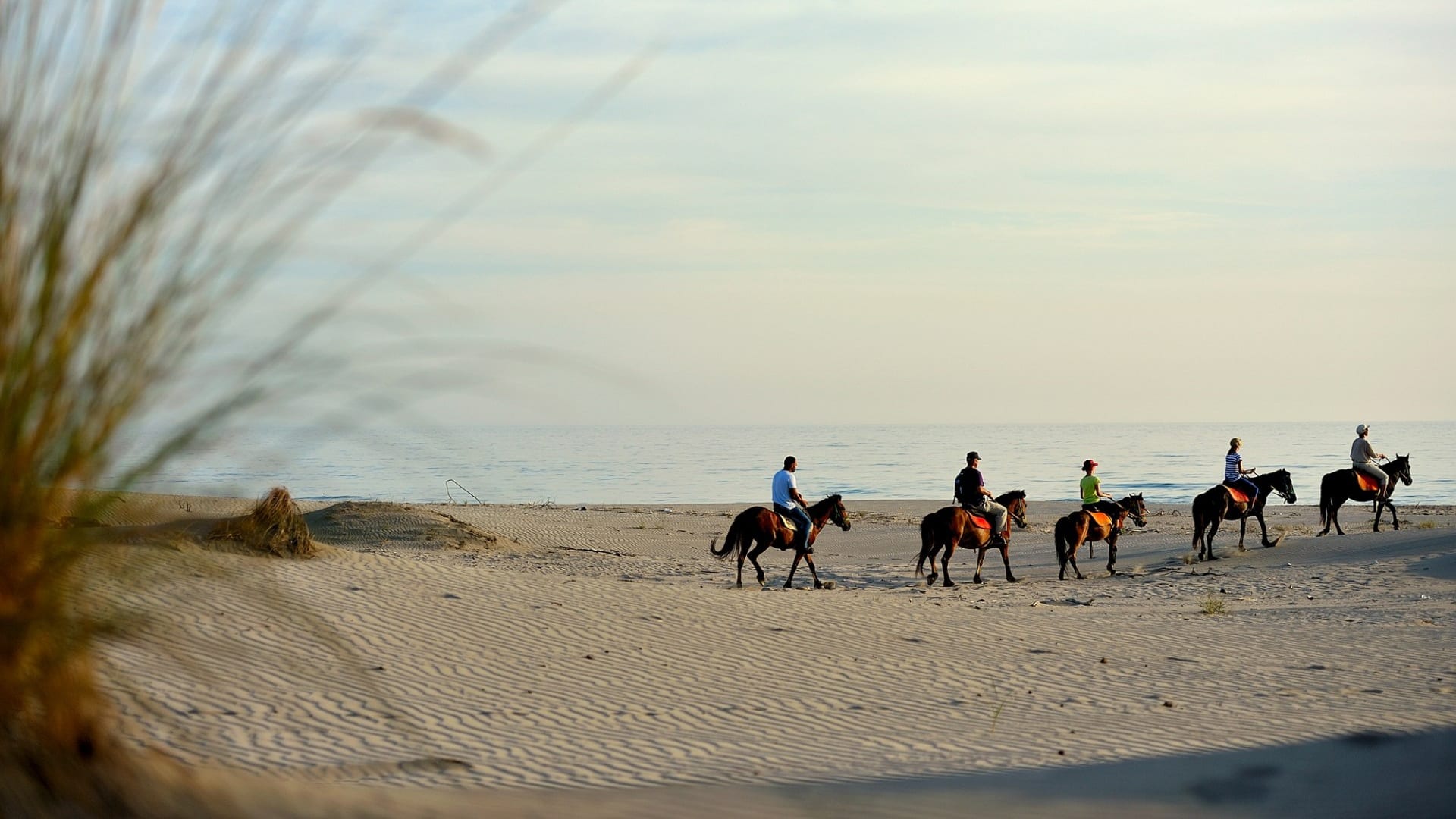 Patara Plajı At Turu
